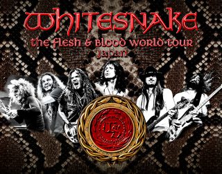 WHITESNAKE